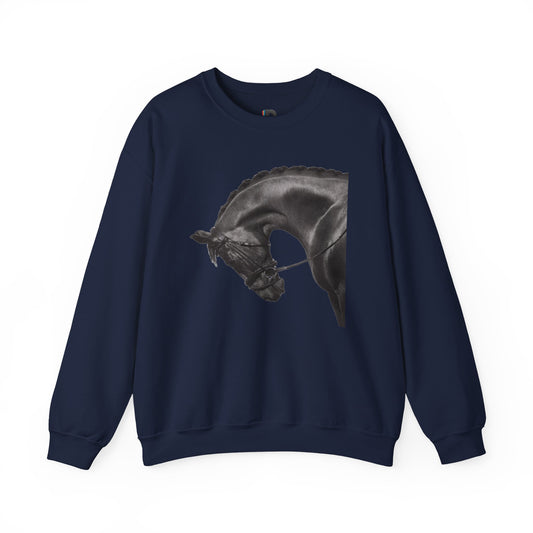 Midnight Horse Sweatshirt