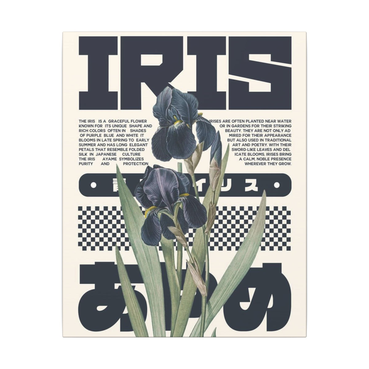 Iris Botanical Matte Canvas Print