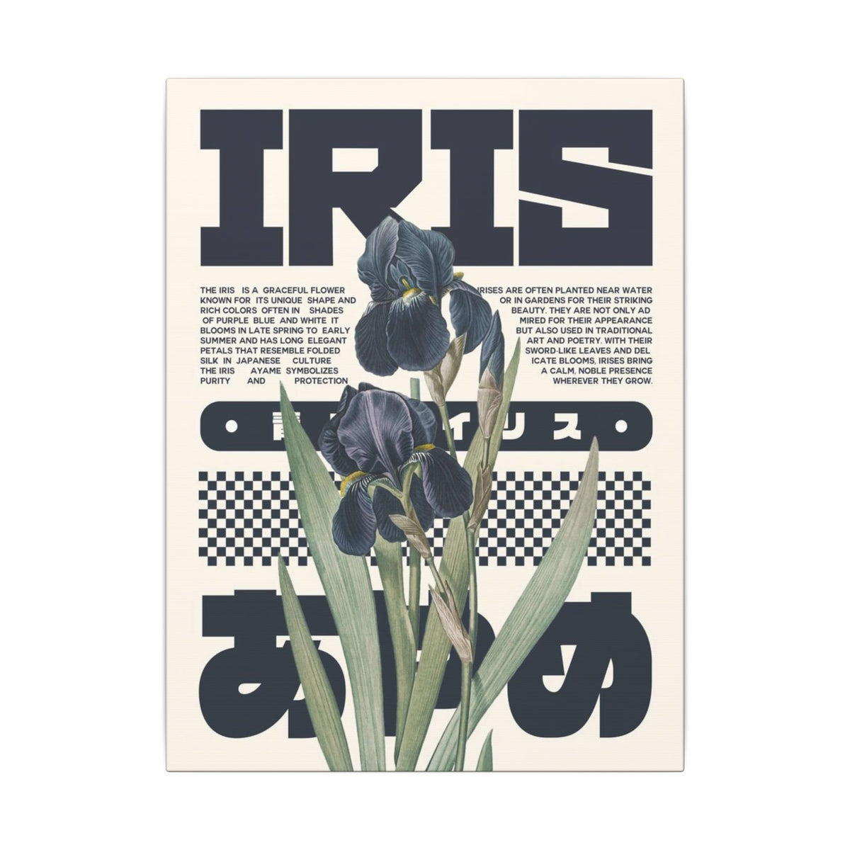 Iris Botanical Matte Canvas Print