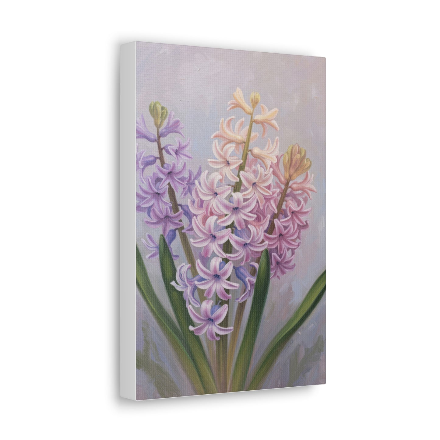 Spring Hyacinth Canvas Print
