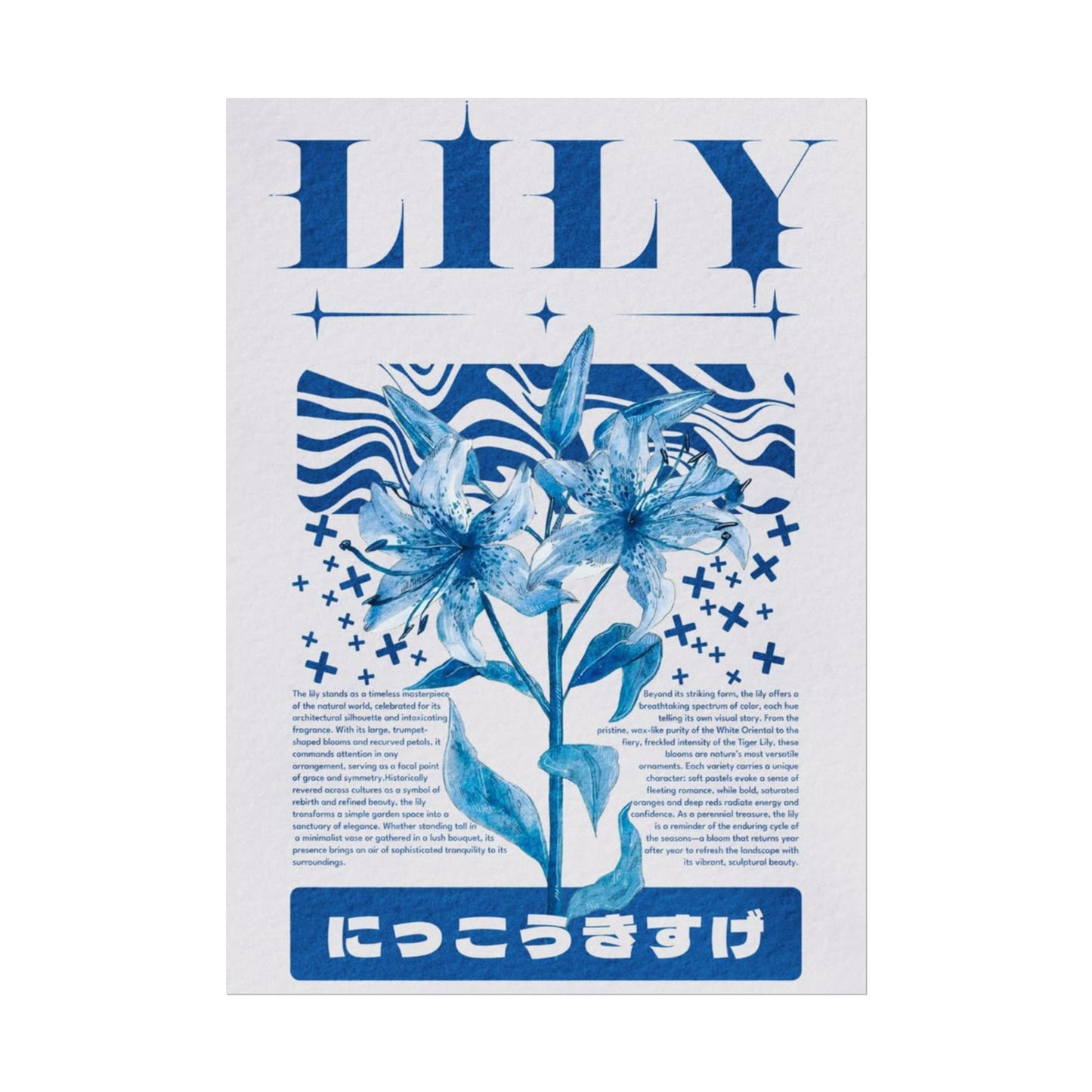 Lily Archive Poster