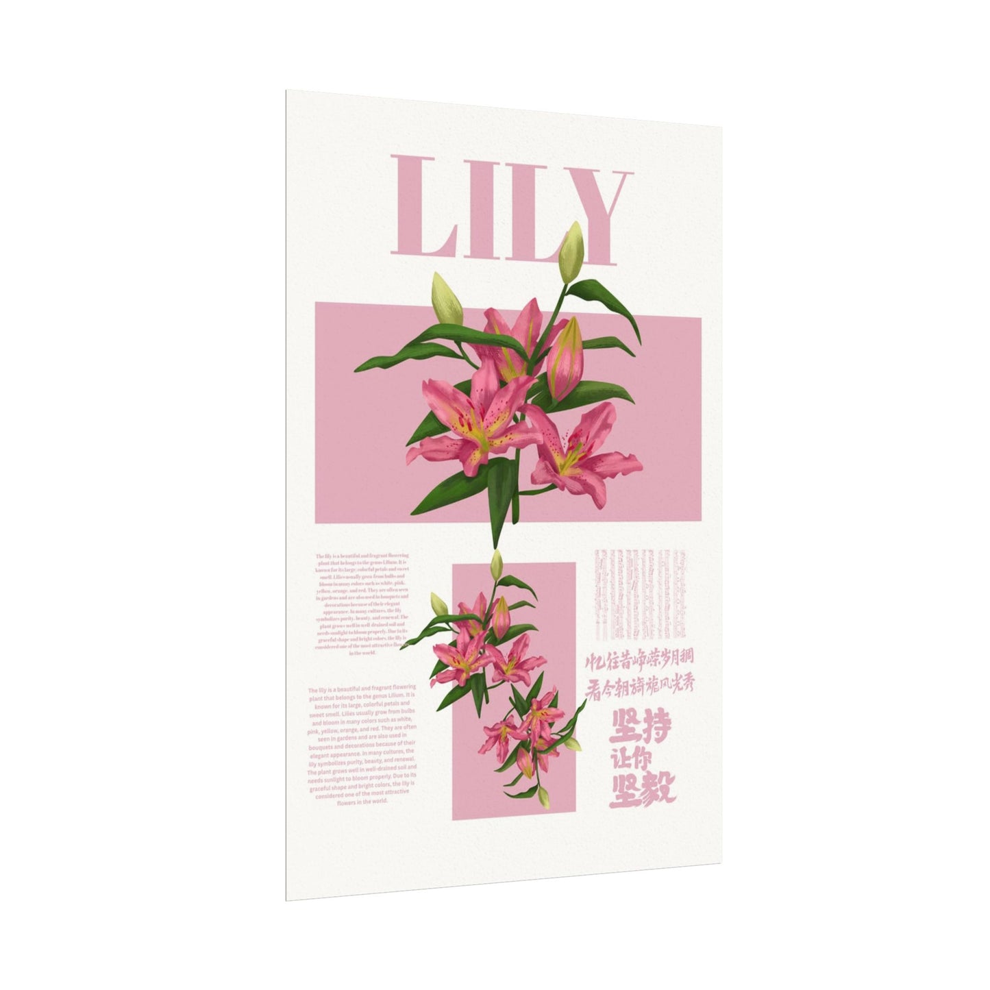 Lily Editorial Poster