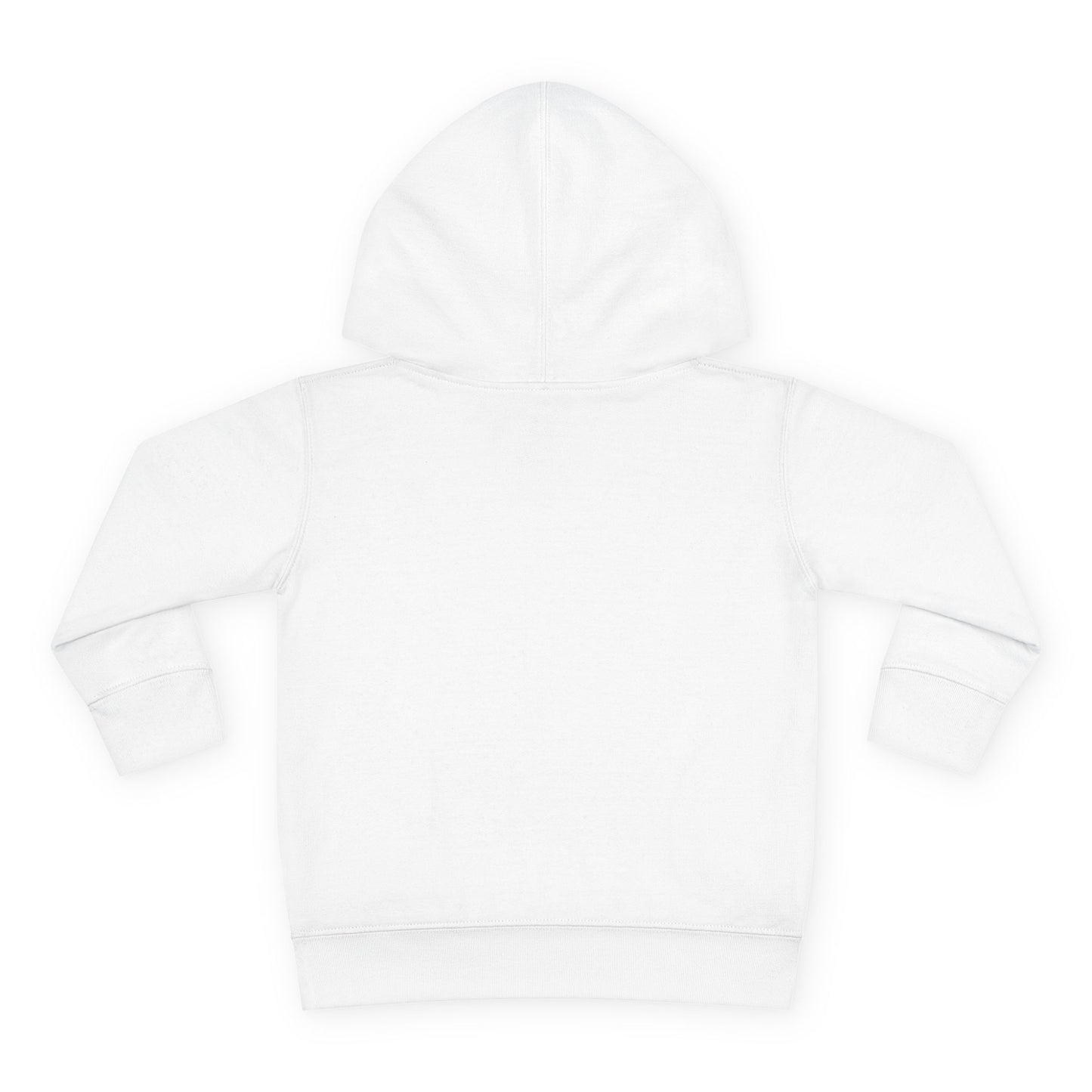 Dinosaur Number One Toddler Hoodie