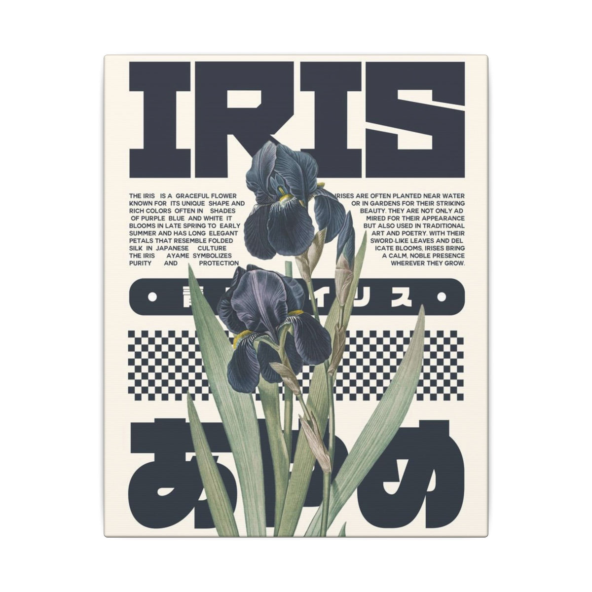 Iris Botanical Matte Canvas Print