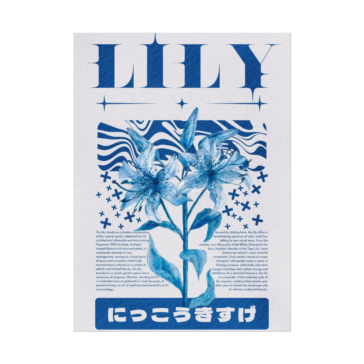 Lily Archive Poster