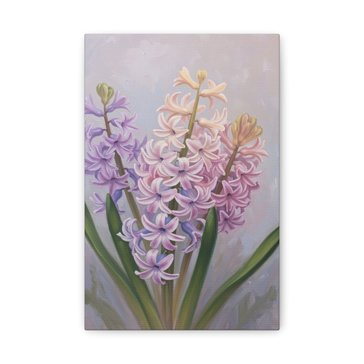 Spring Hyacinth Canvas Print