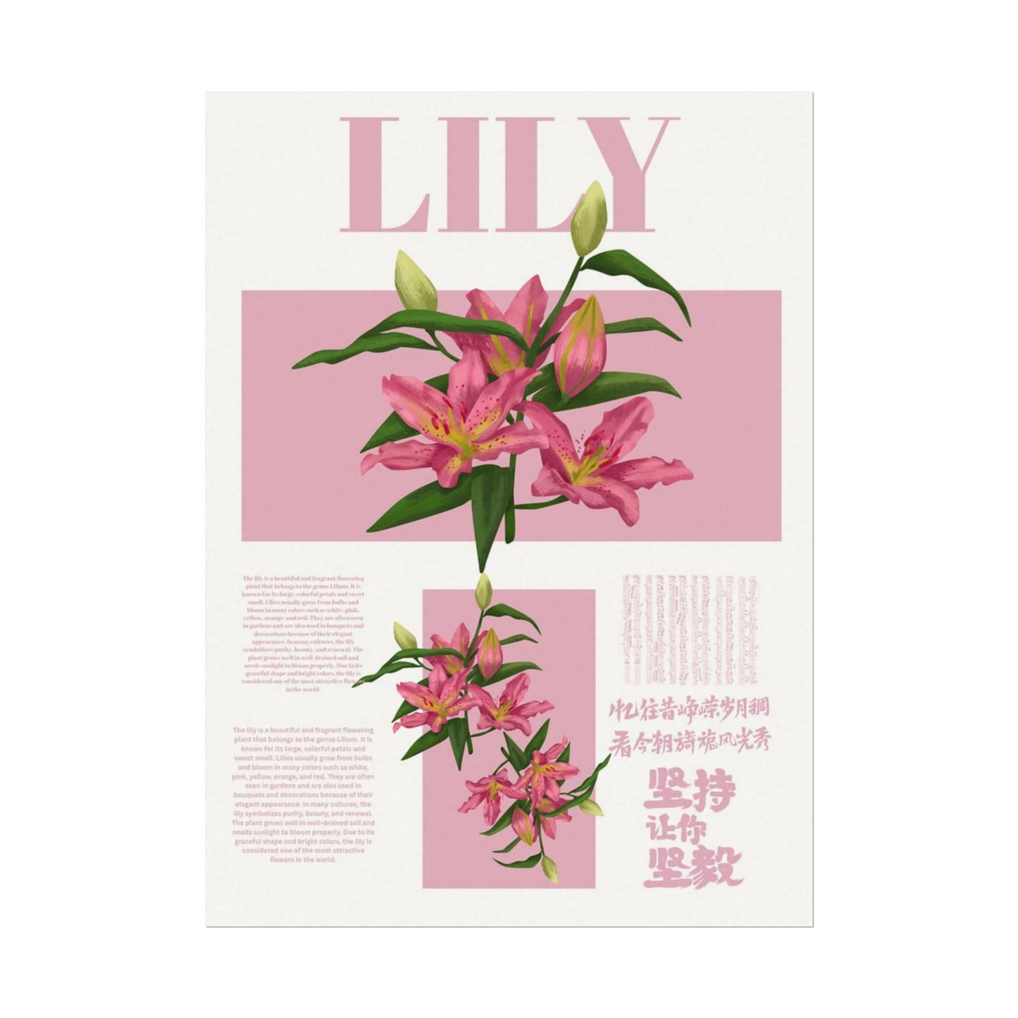 Lily Editorial Poster