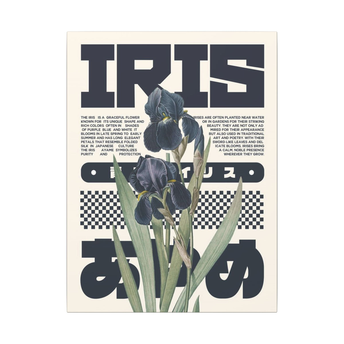 Iris Botanical Matte Canvas Print