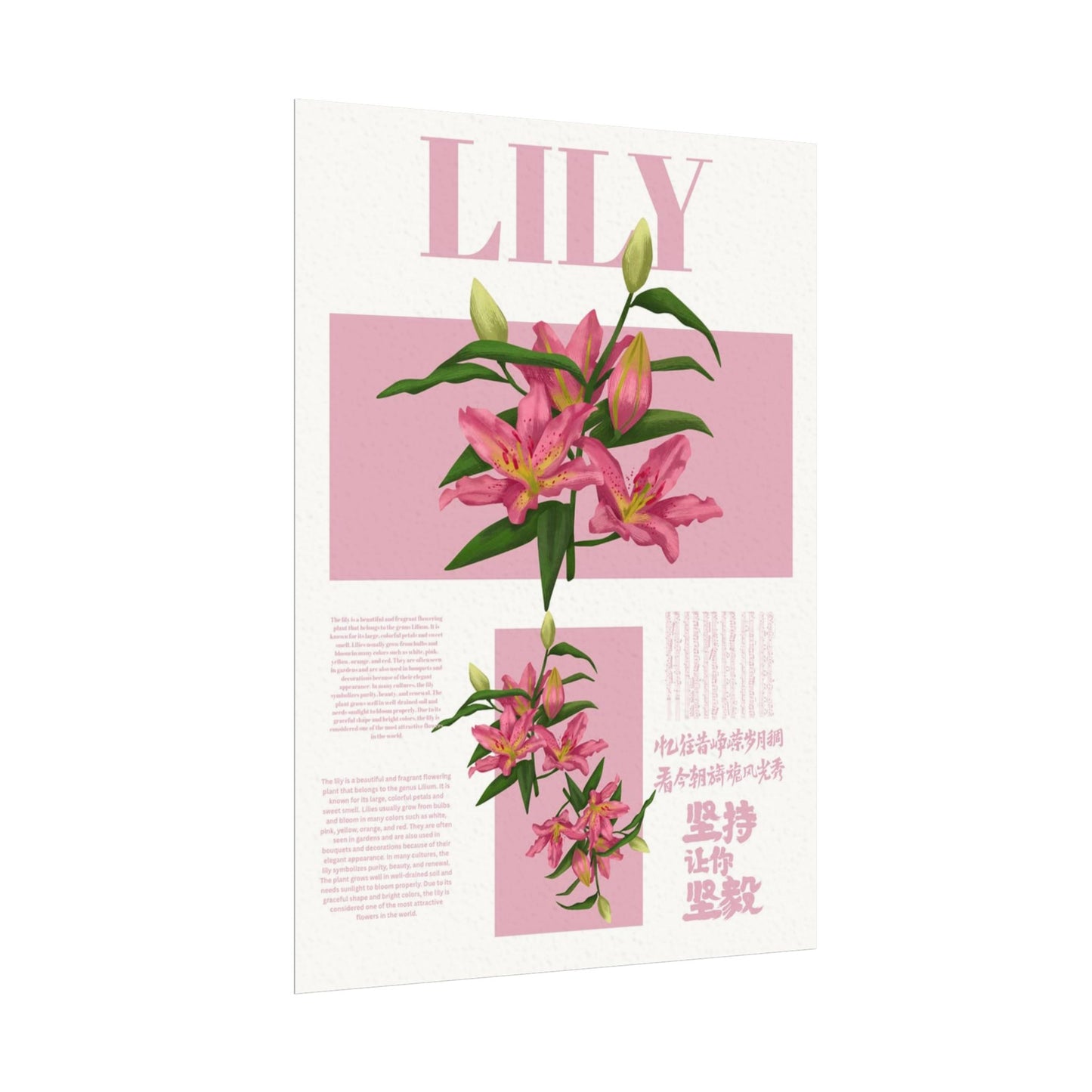 Lily Editorial Poster