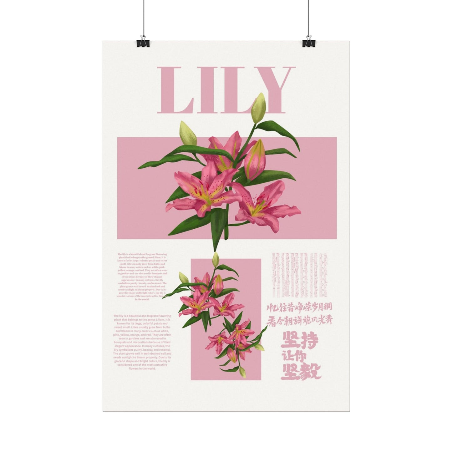 Lily Editorial Poster