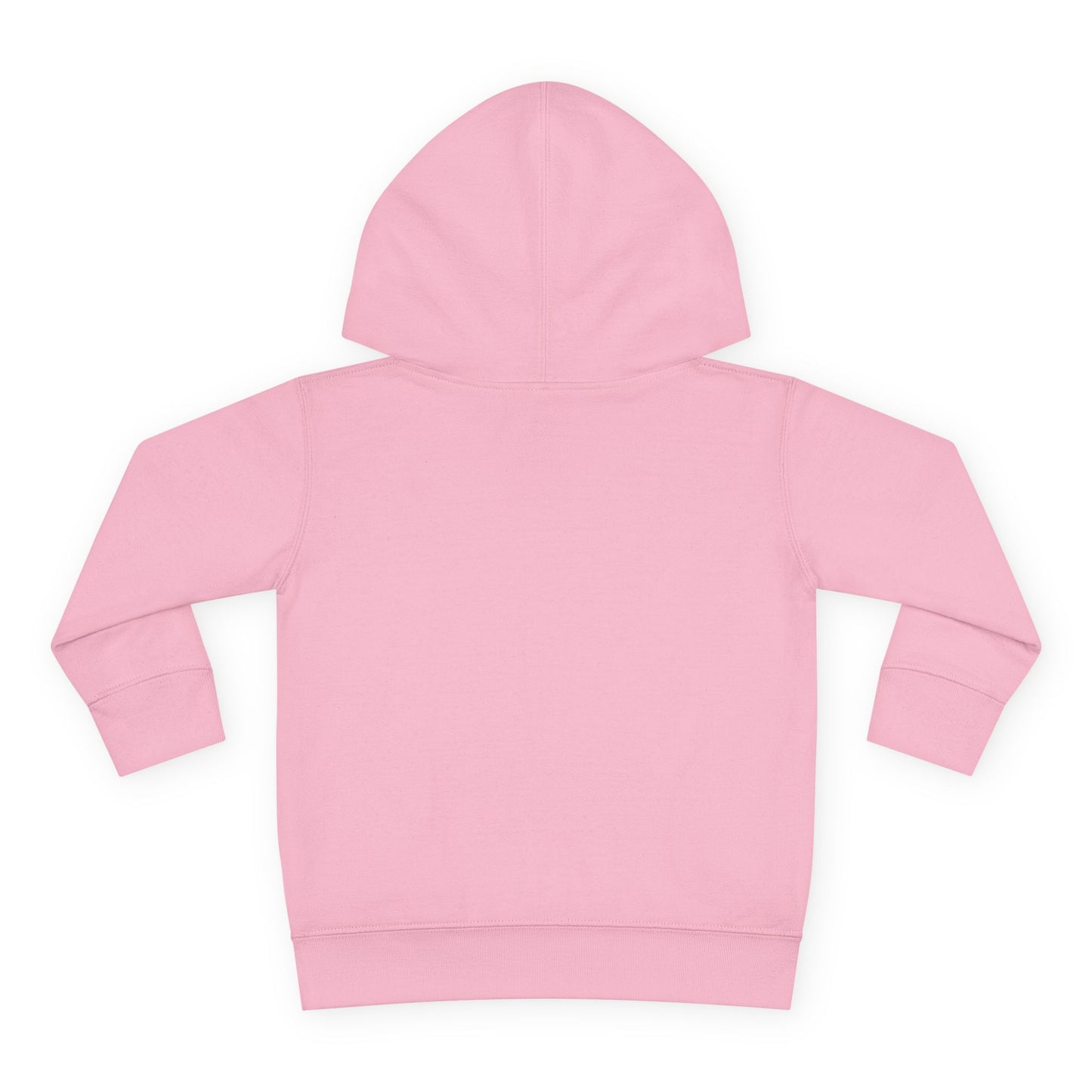 Dinosaur Number One Toddler Hoodie