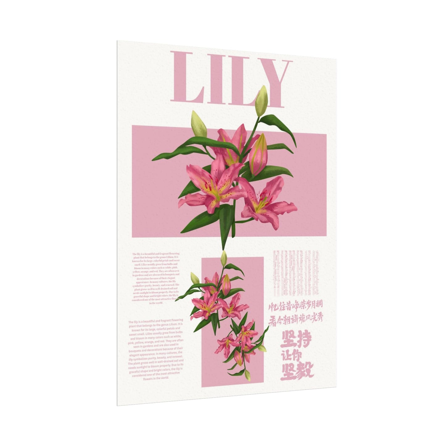 Lily Editorial Poster