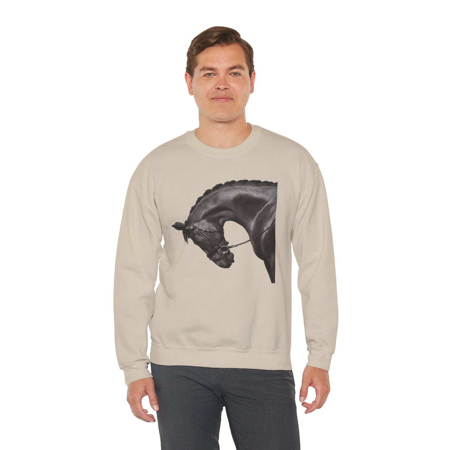 Midnight Horse Sweatshirt