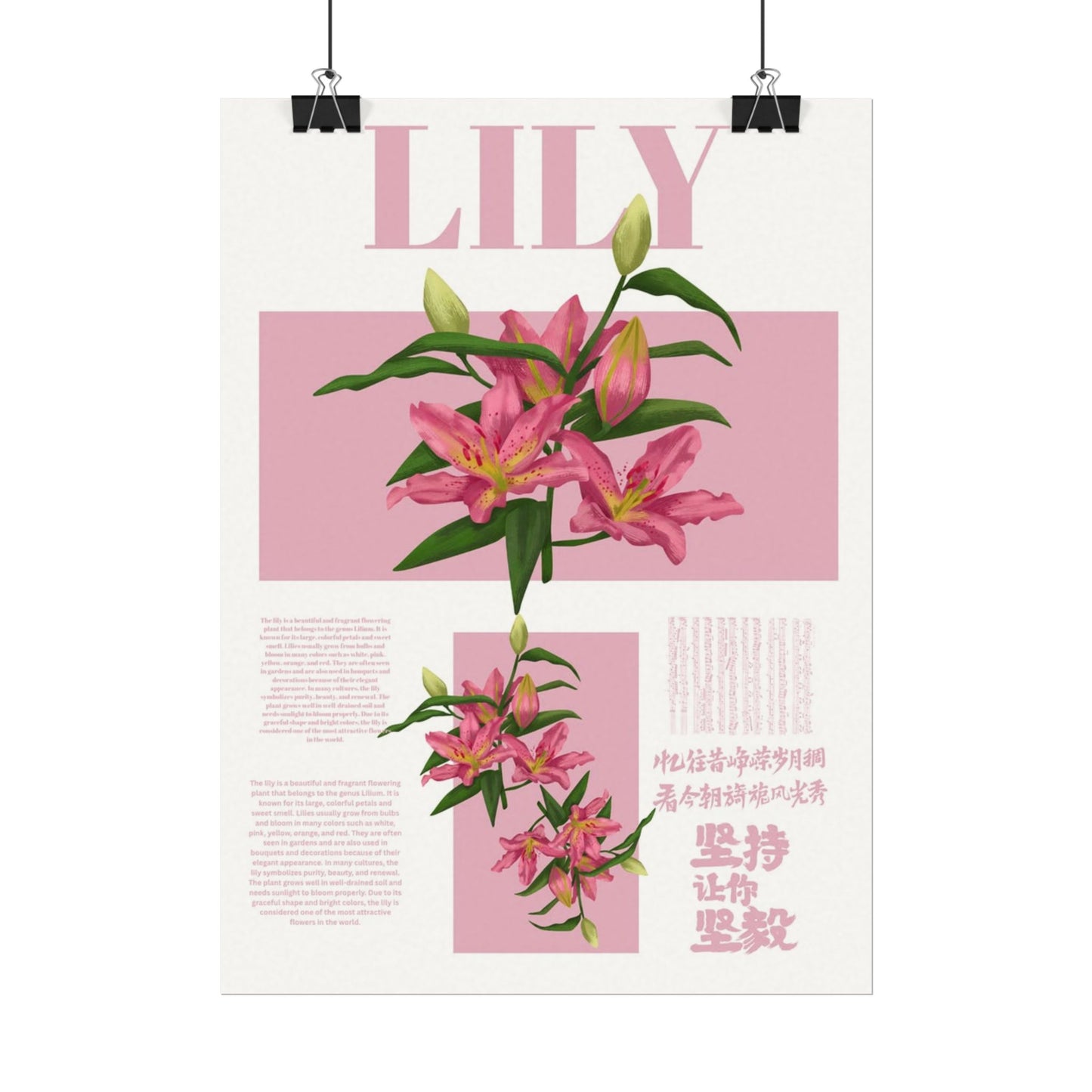 Lily Editorial Poster