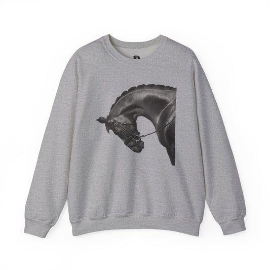 Midnight Horse Sweatshirt