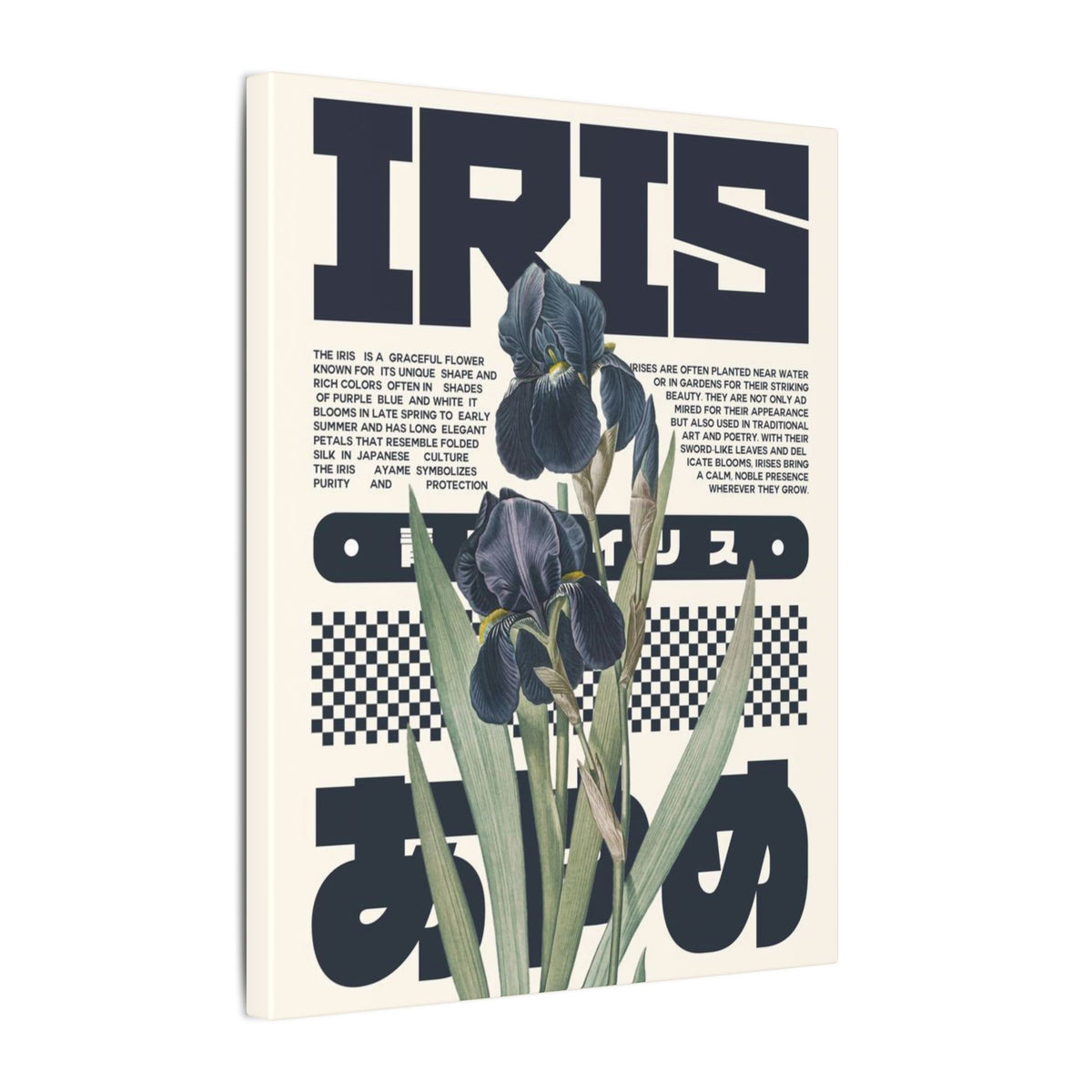 Iris Botanical Matte Canvas Print