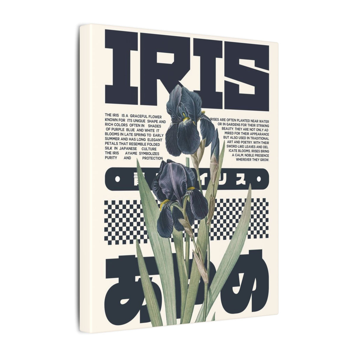 Iris Botanical Matte Canvas Print