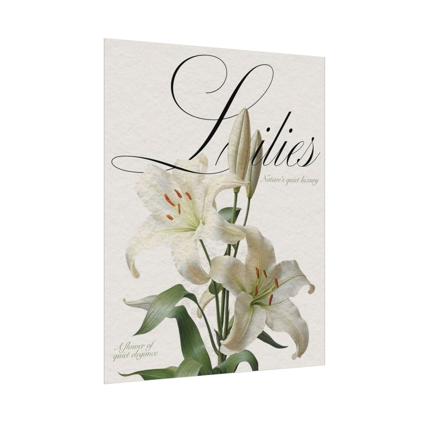 Garden Script Poster