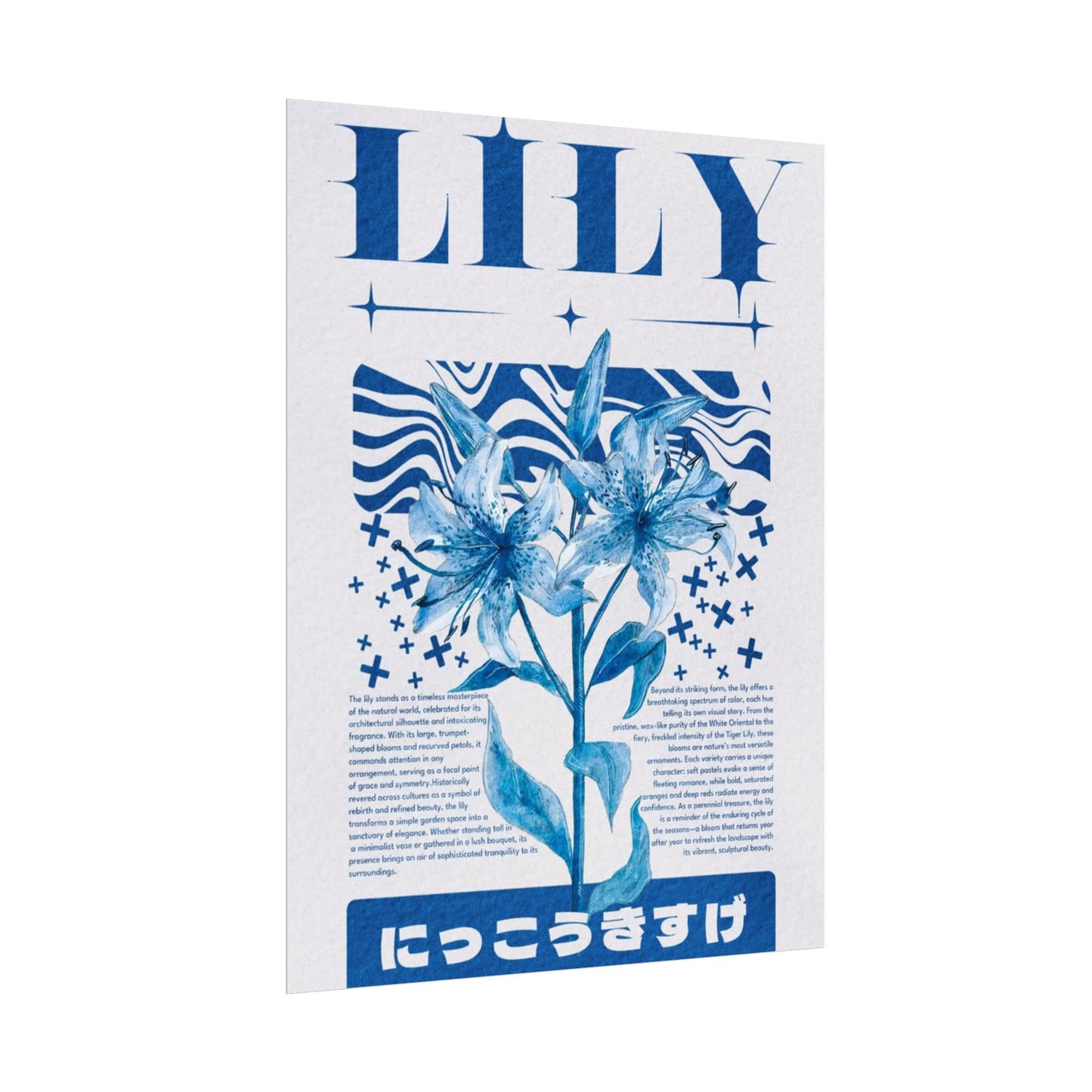 Lily Archive Poster
