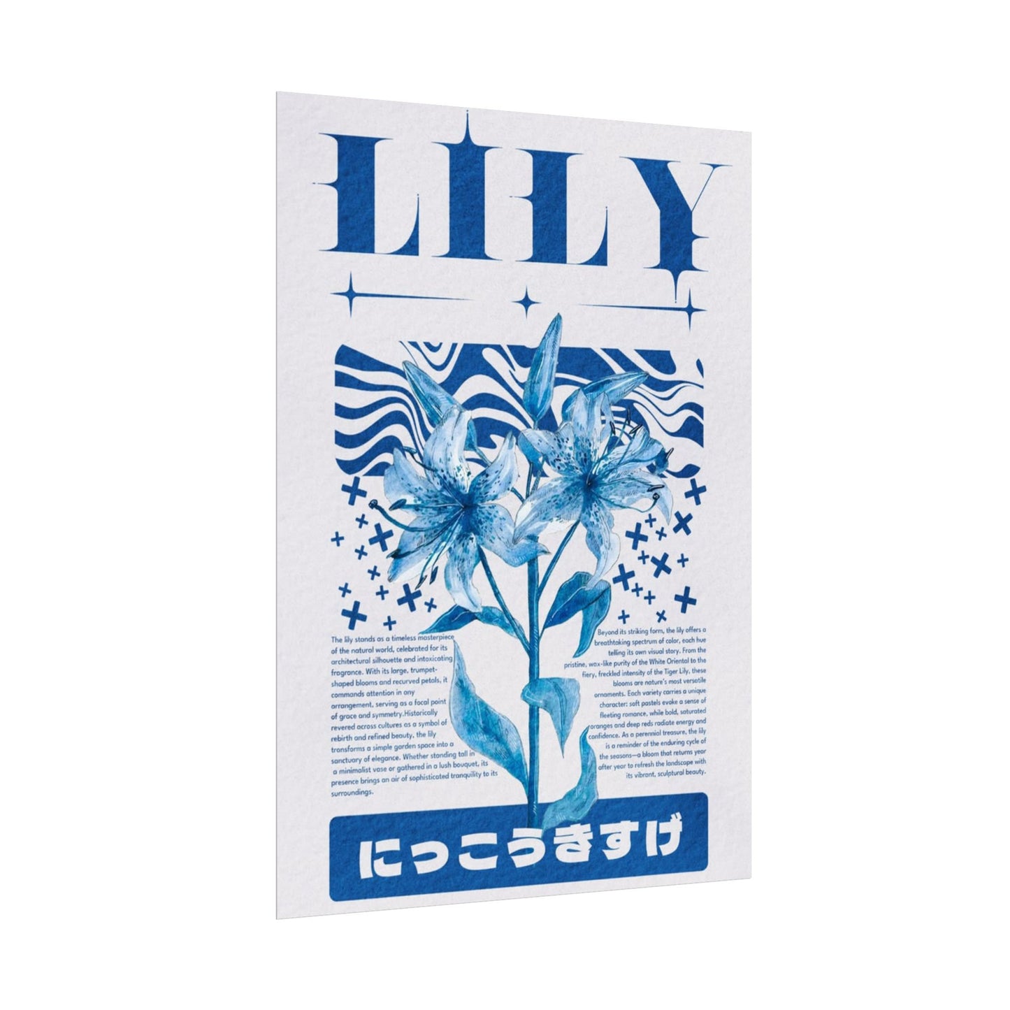 Lily Archive Poster