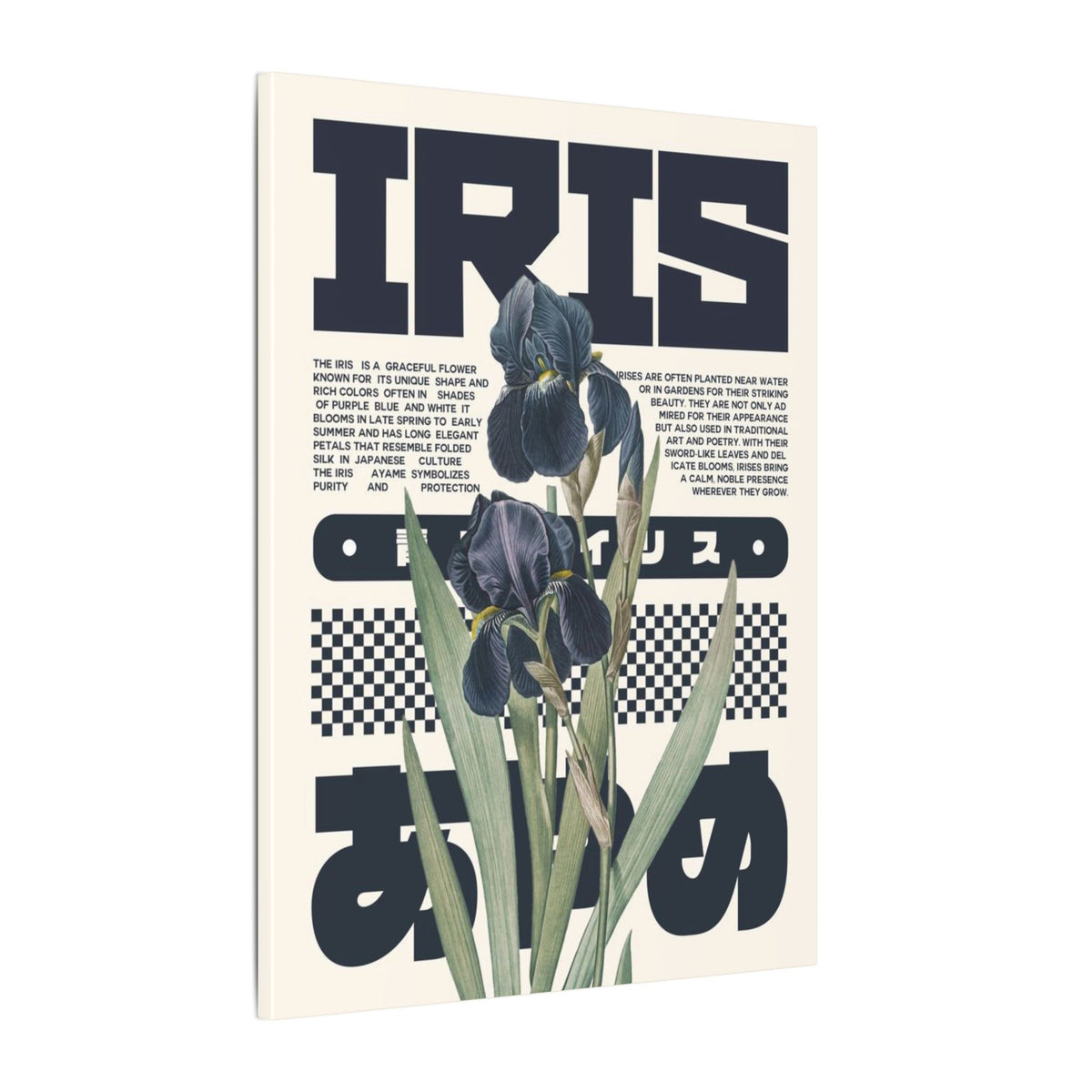 Iris Botanical Matte Canvas Print