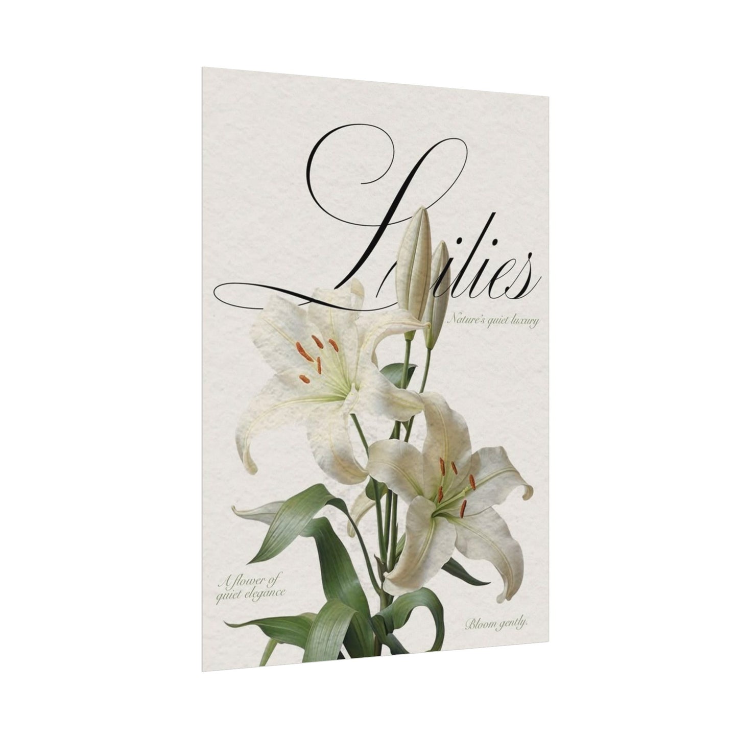 Garden Script Poster