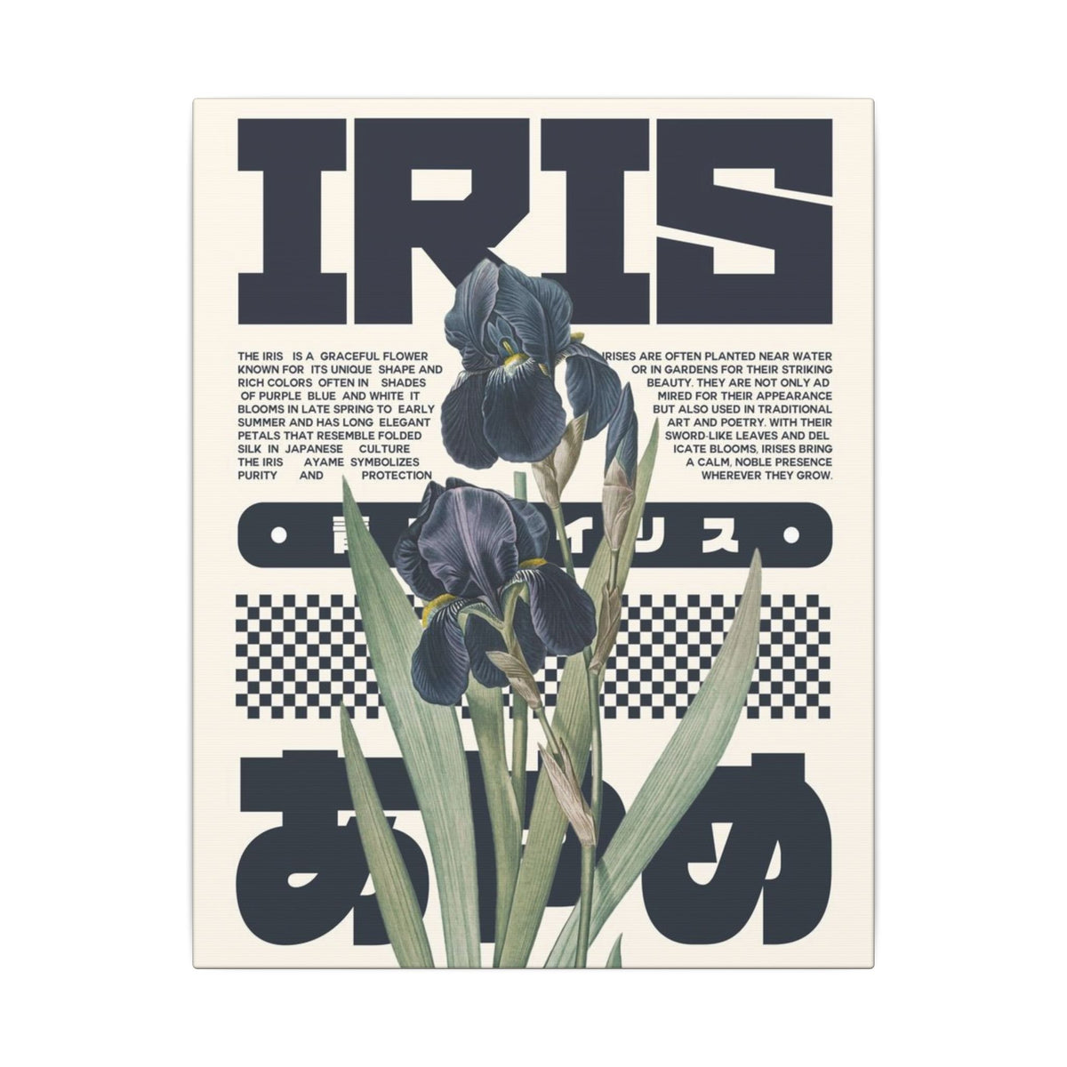 Iris Botanical Matte Canvas Print