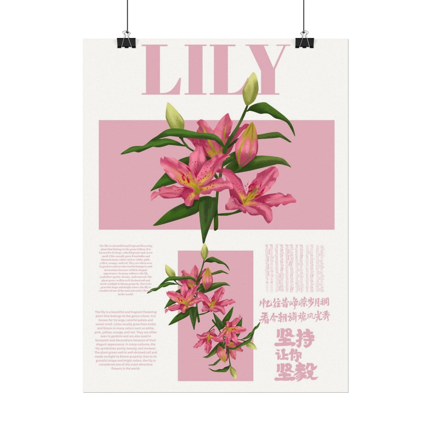 Lily Editorial Poster