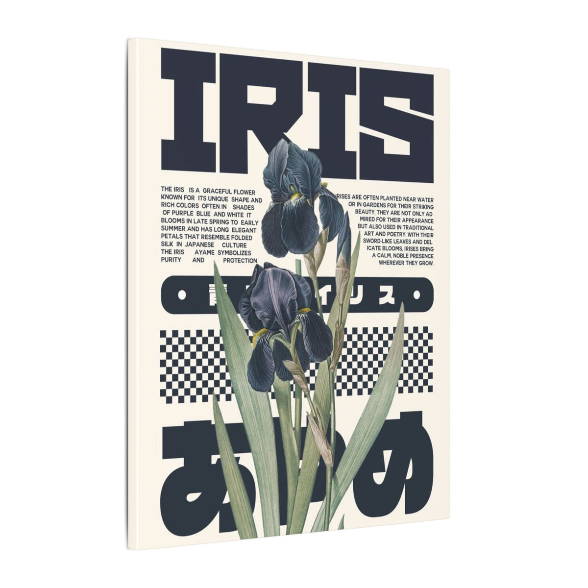 Iris Botanical Matte Canvas Print