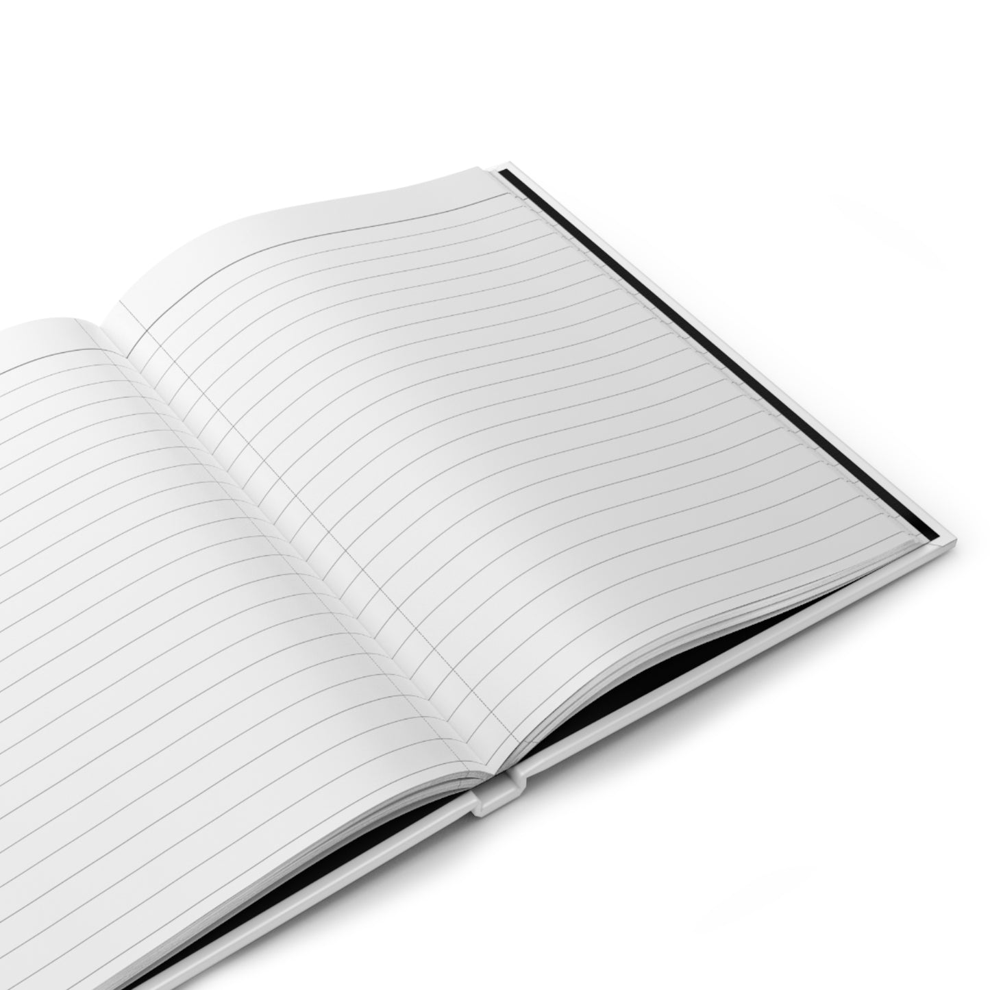 Fuji Travel Journal