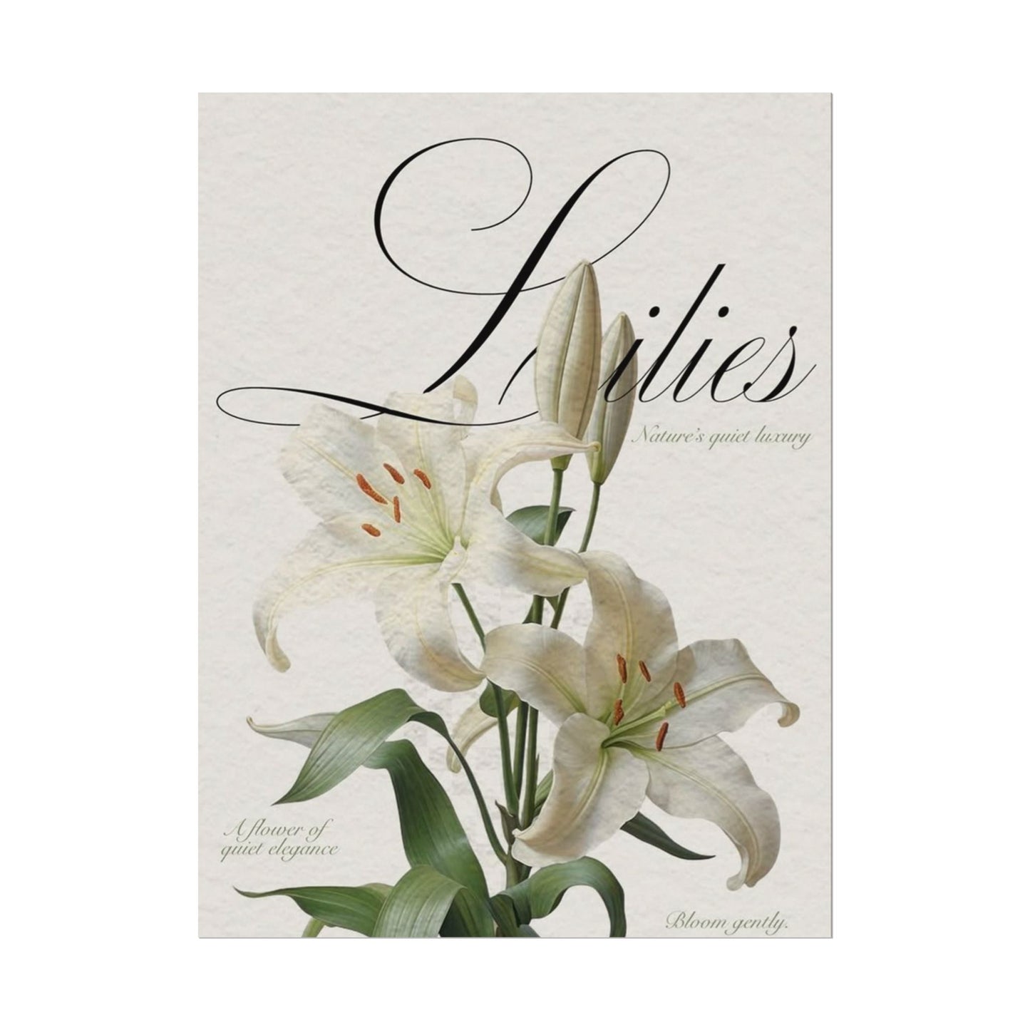 Garden Script Poster