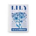 Lily Study Journal