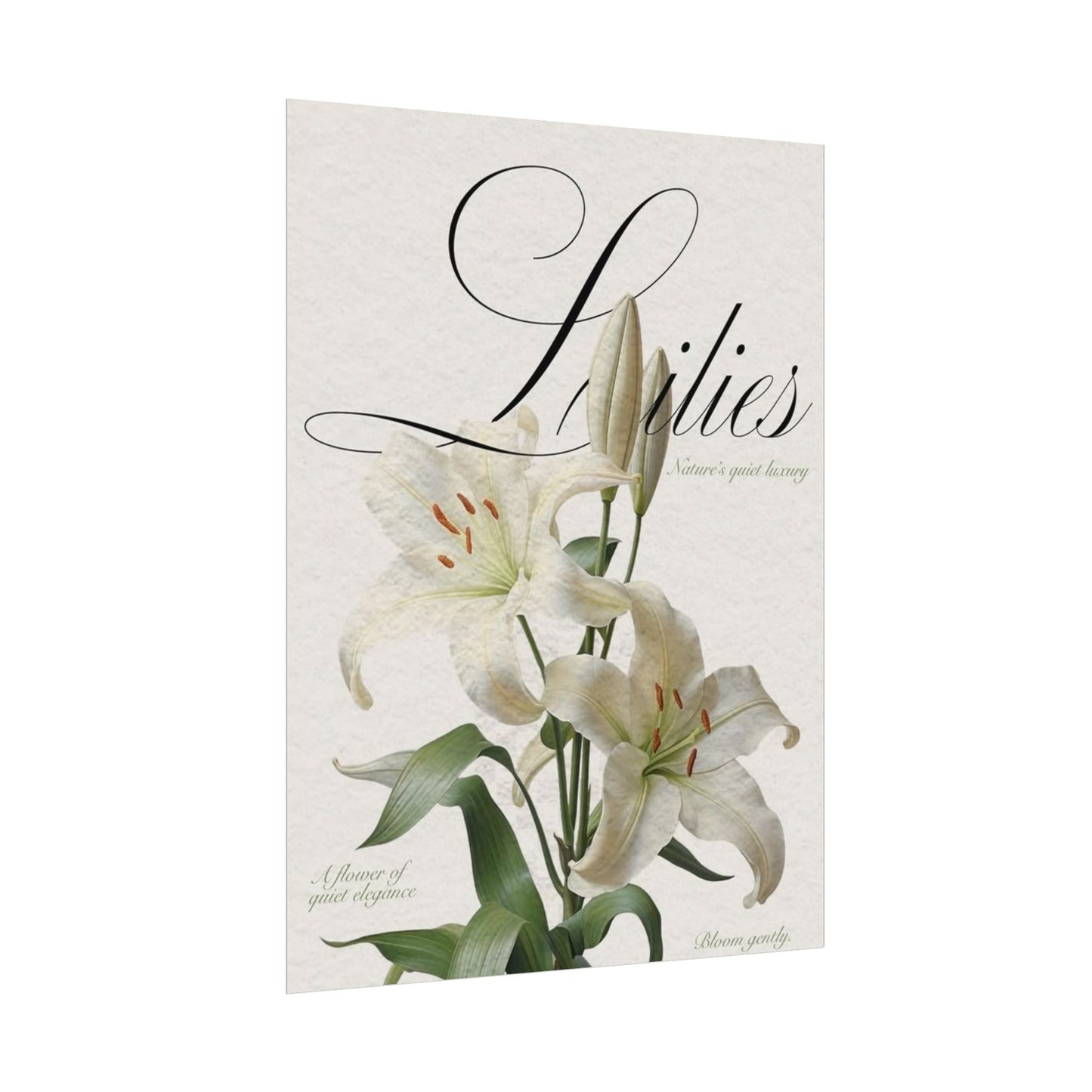 Garden Script Poster