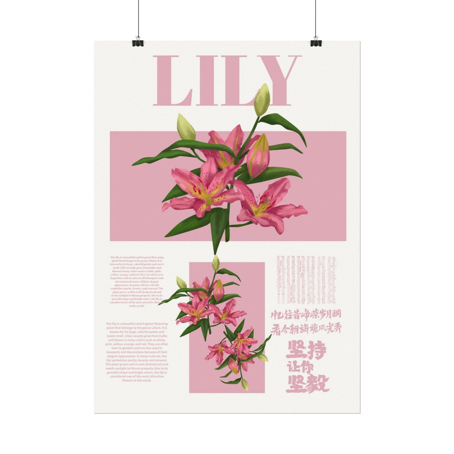 Lily Editorial Poster