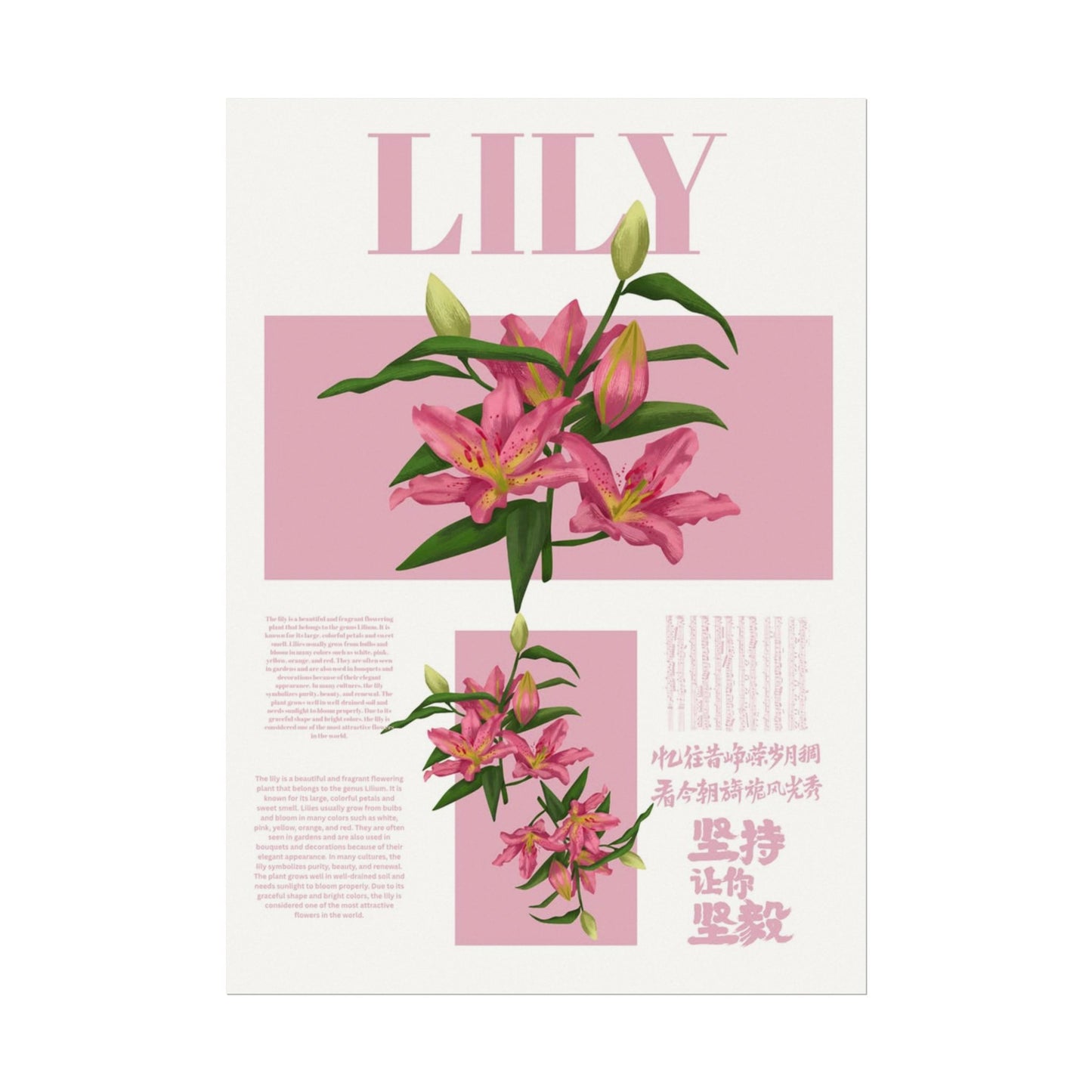 Lily Editorial Poster