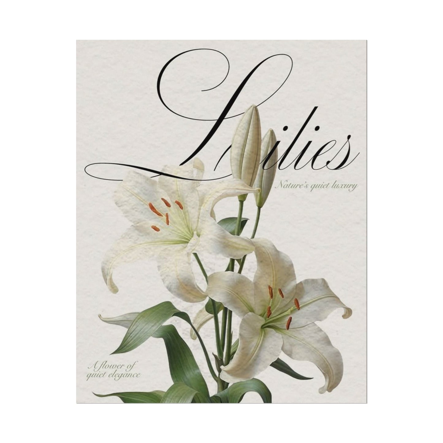 Garden Script Poster