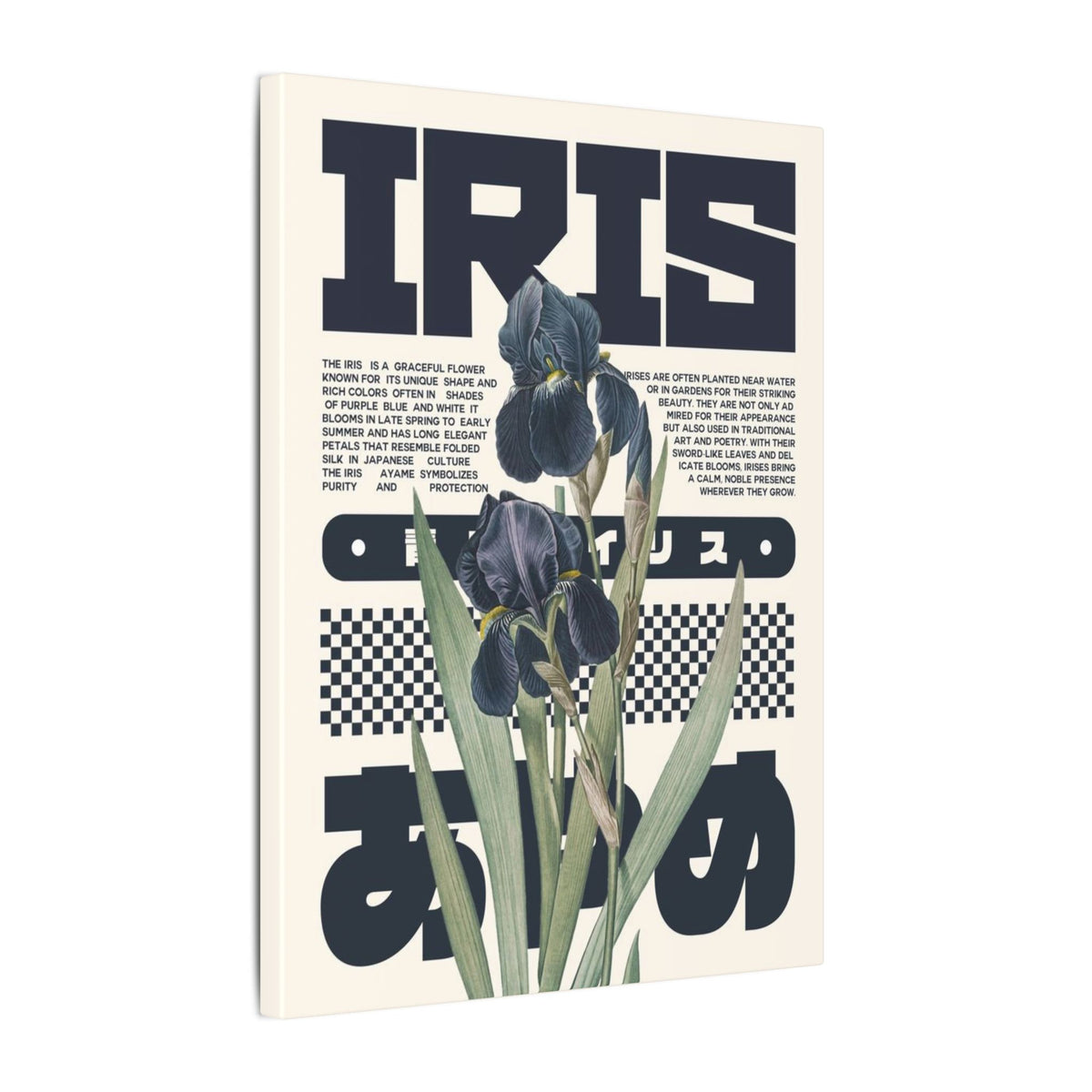 Iris Botanical Matte Canvas Print